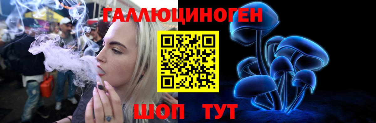 Можга  Галлюциногенные грибы MAGIC MUSHROOMS  Вход с VPN  Галлюциногенные грибы прущие грибы 